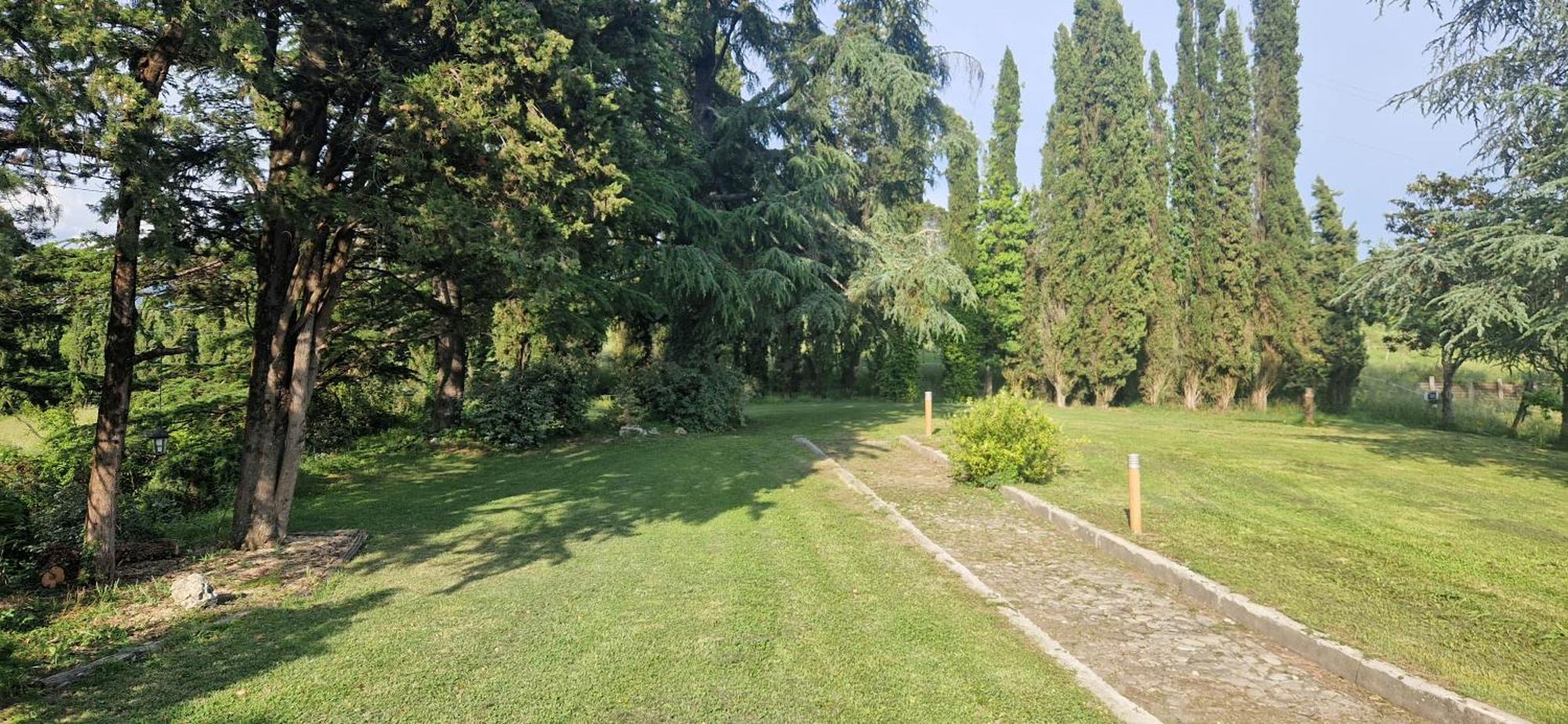 B&B Podere Montese Віллафранка-ін-Луніджана Екстер'єр фото
