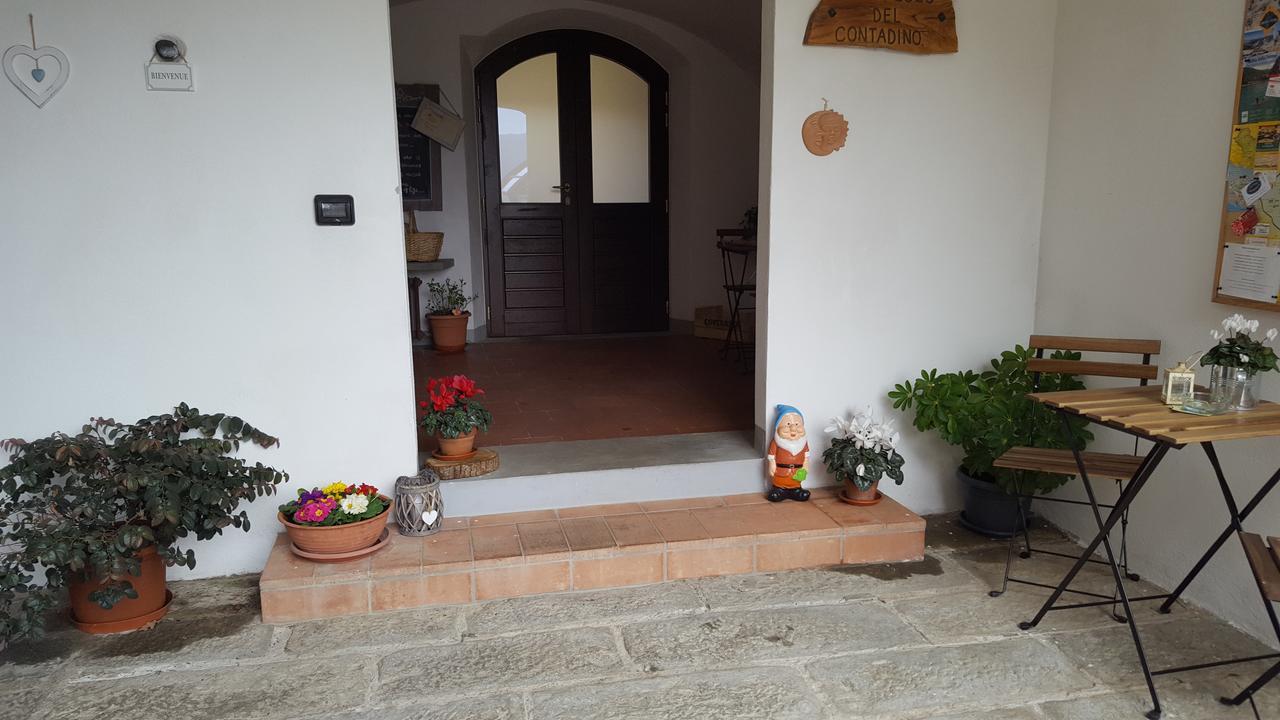 B&B Podere Montese Віллафранка-ін-Луніджана Екстер'єр фото