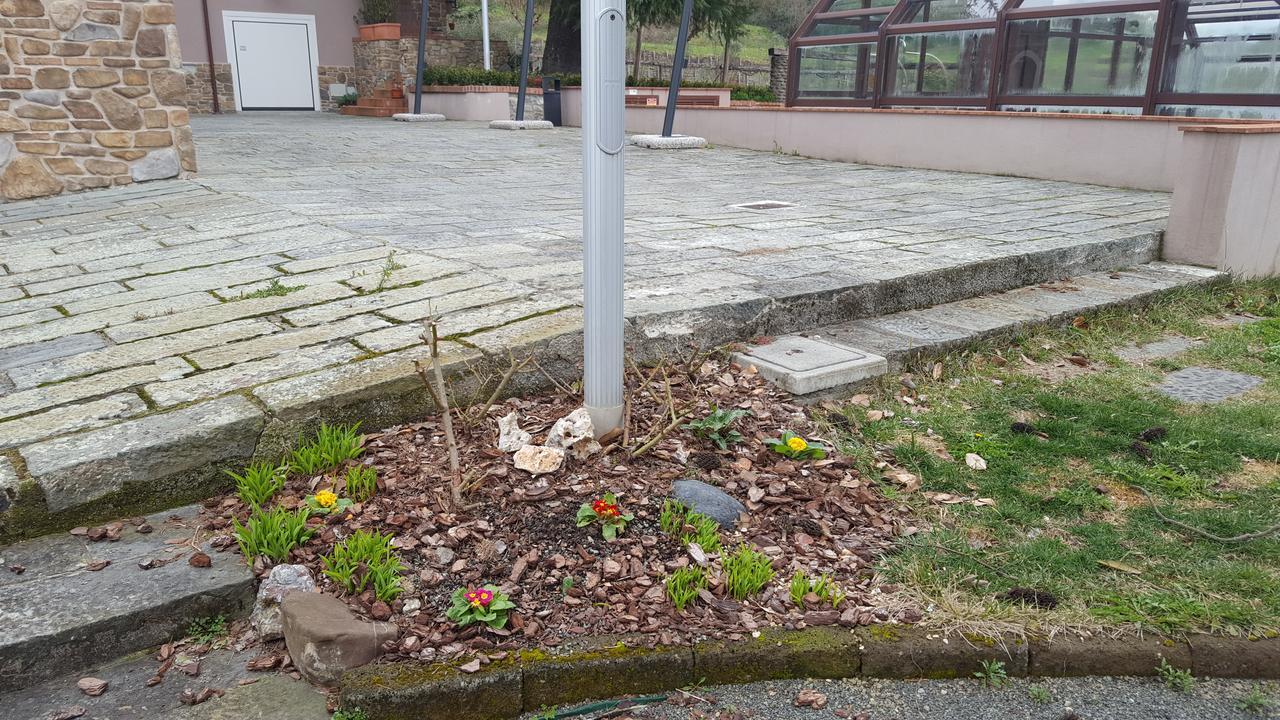 B&B Podere Montese Віллафранка-ін-Луніджана Екстер'єр фото