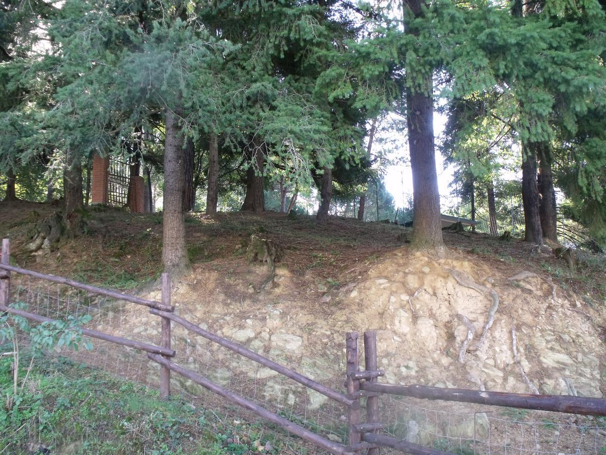 B&B Podere Montese Віллафранка-ін-Луніджана Екстер'єр фото