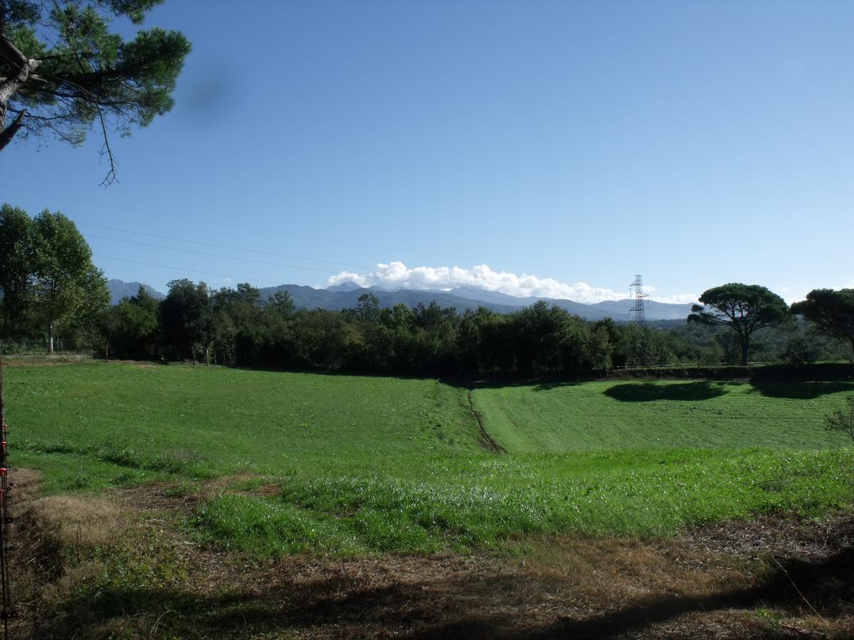 B&B Podere Montese Віллафранка-ін-Луніджана Екстер'єр фото